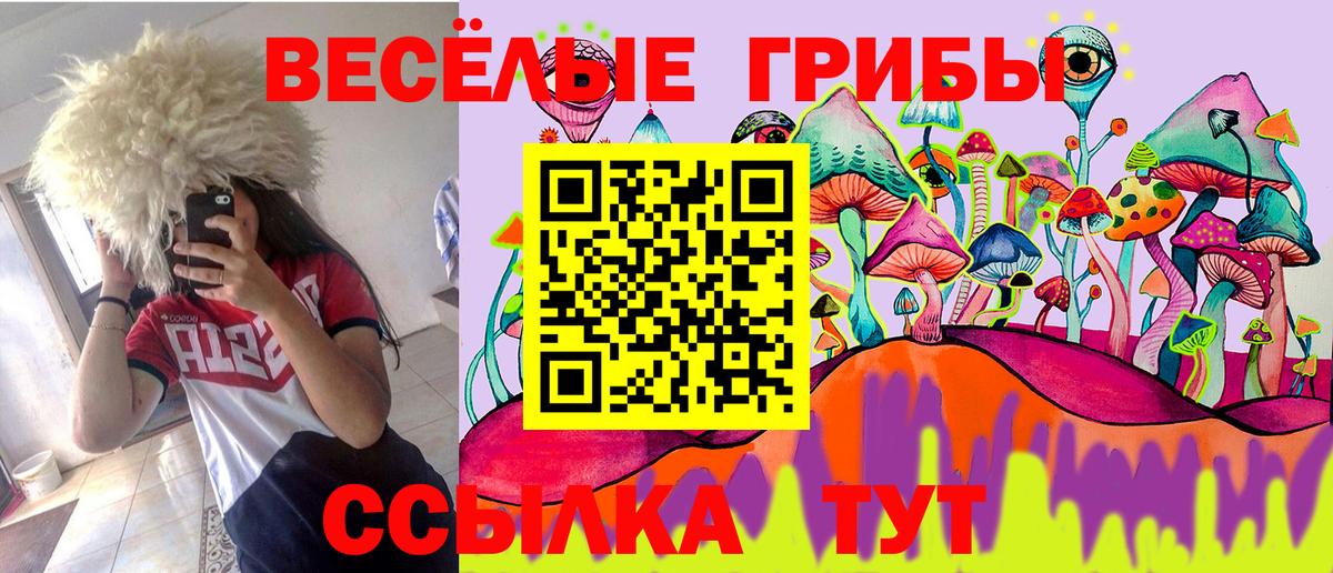 Киселёвск  Псилоцибиновые грибы Psilocybe  Вход с VPN 